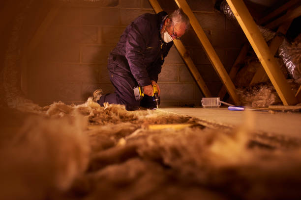 Best Eco-Friendly Insulation in Abernathy, TX